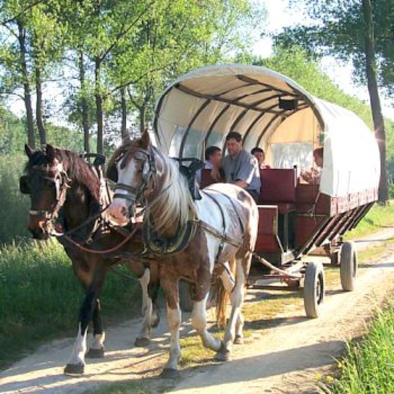 Het Godshuis Hotel Sint Laureins Bagian luar foto